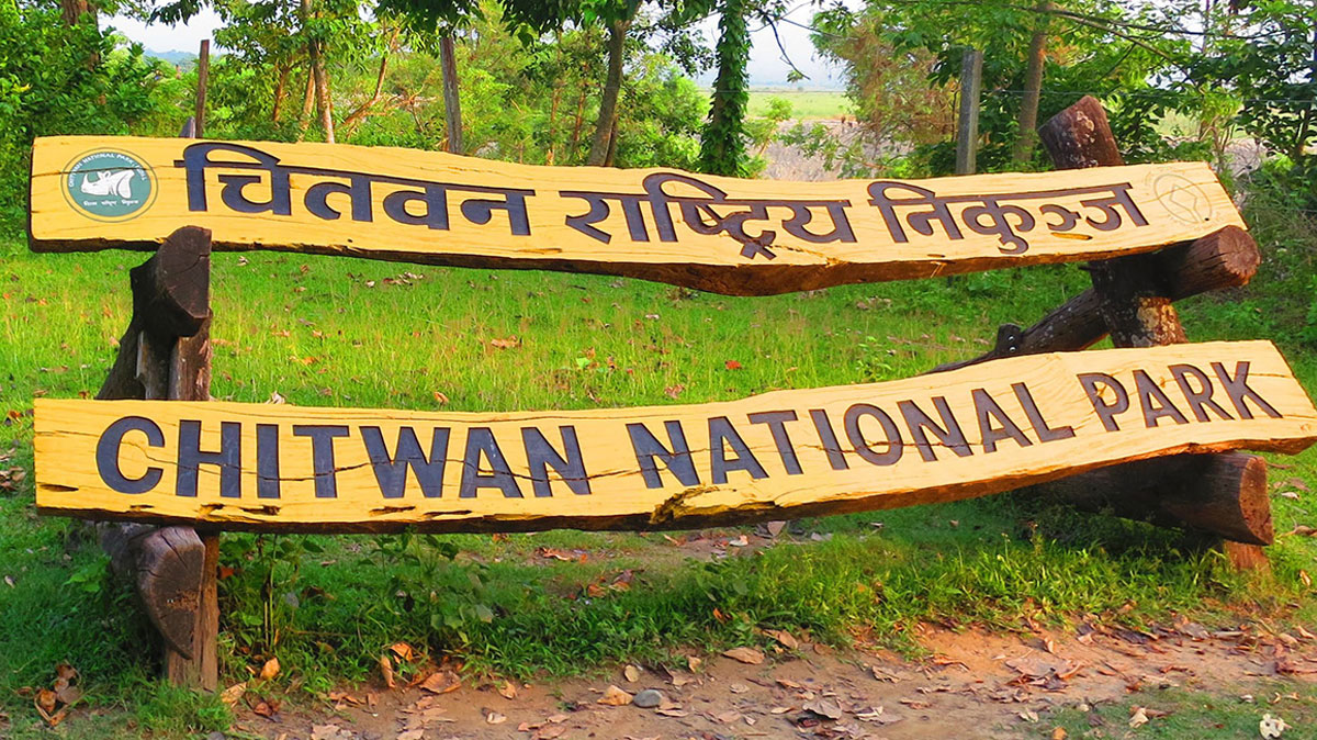 घाँसदाउरा गर्नेलाई वन संरक्षणको पाठशाला