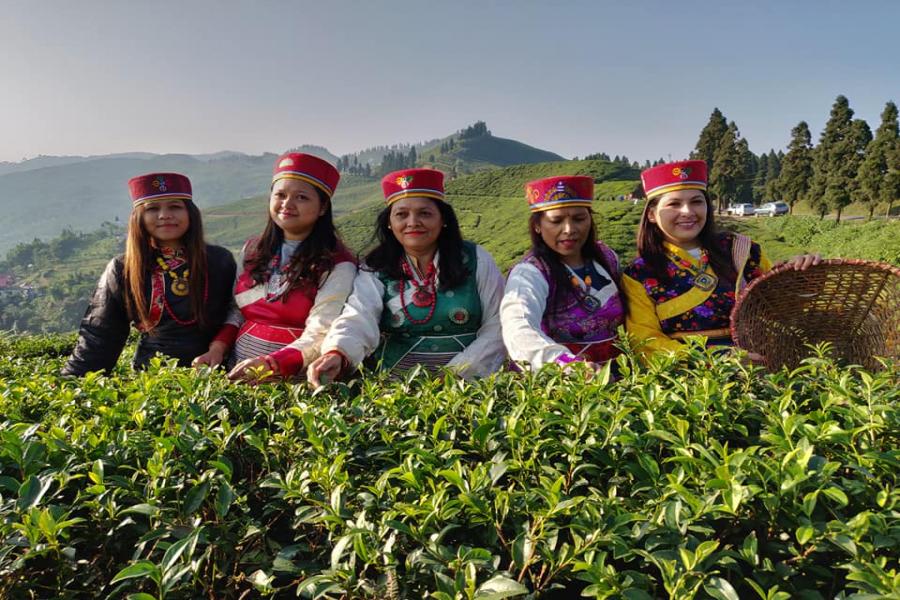 कोरोनापछि पर्यटकीय क्षेत्र पुग्न थाले आन्तरिक पर्यटक