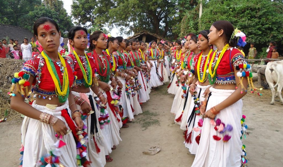 आज  माघी पर्व मनाउँदै