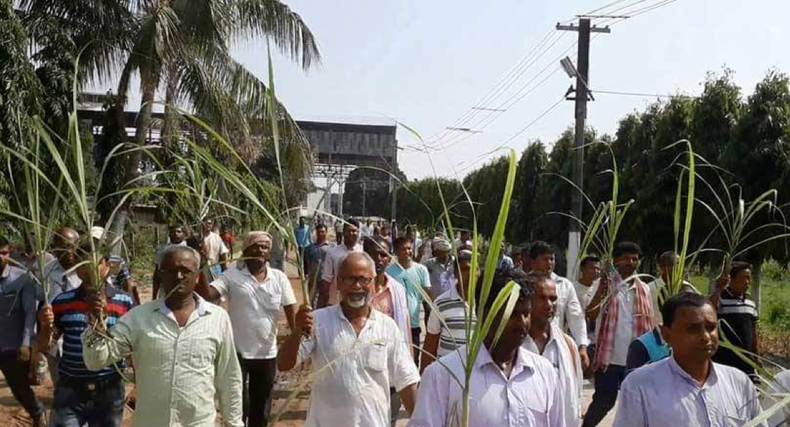 ऋण तिर्न घरबास बेच्दै सर्लाहीका उखु किसान