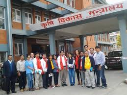 सालदाङमा चामल अभाव