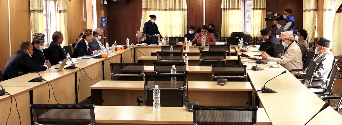 सरकारले गरेको पेट्रोलियम पदार्थको मूल्य वृद्धिबारे संसदीय समितिले छानबिन गर्ने