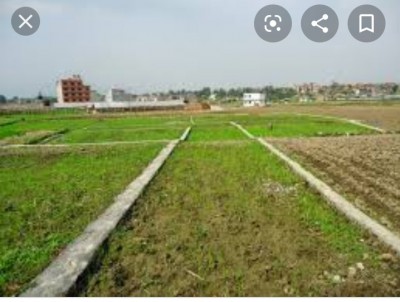 सरकारको अनुमति नलिई मापदण्ड विपरित गरिएका प्लटिङ्का जग्गा रोक्का हुने