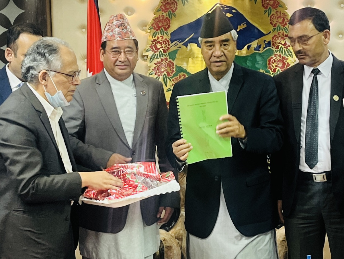 थप अर्को अन्तर्राष्ट्रिय विमानस्थल निर्माणकाबाराको निजगढ आसपासकै क्षेत्र उपयुक्त हुने सुझाव