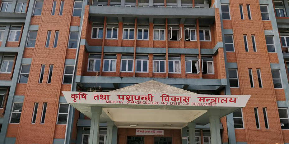 समयमै रासायनिक मल नल्याउने दुई ठेकेदार कम्पनीलाई कालो सूचीमा राख्न सिफारिस